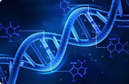 Enhancing Breast and Ovarian Cancer Care: The Discovery of BRCA1 and BRCA2