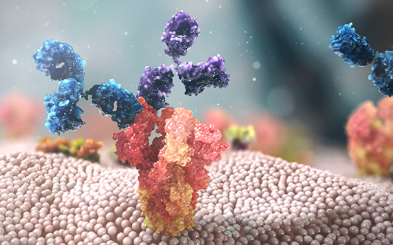 EVUSHELD: The latest Covid-19 protection preparation antioxidant