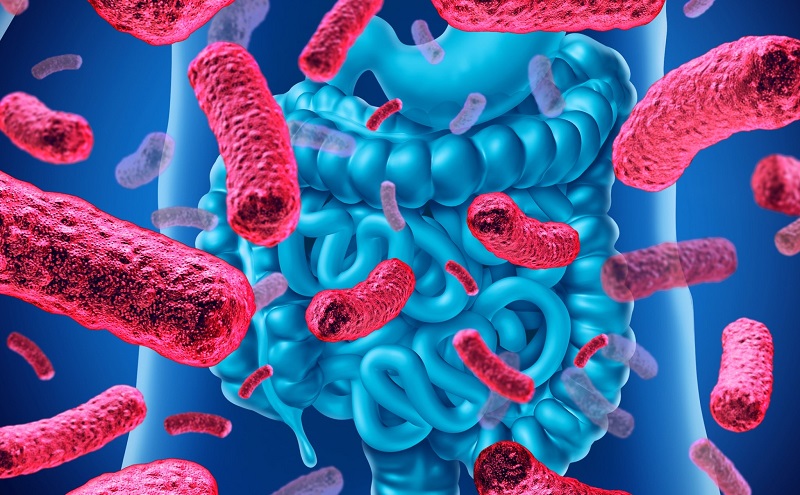 Lợi ích của bào tử lợi khuẩn trong hỗ trợ điều trị viêm đại tràng