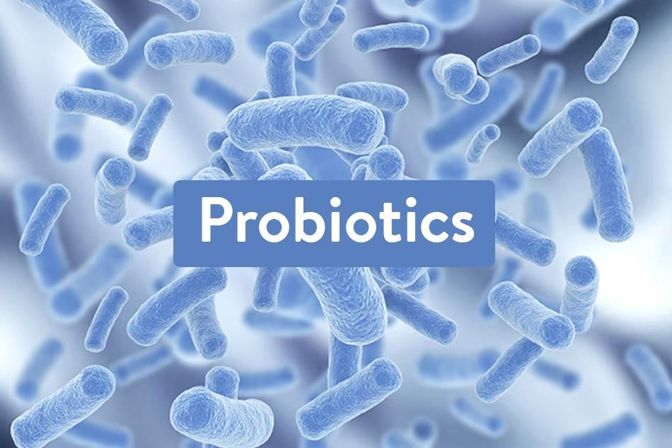 Unexpected benefits from probiotic
