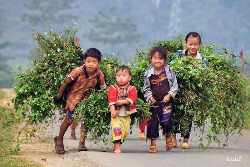 Nutrition alarm for children in ethnic minority areas