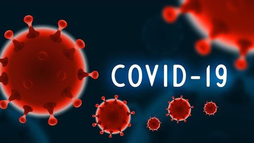 The situation of the COVID-19 epidemic resurgence