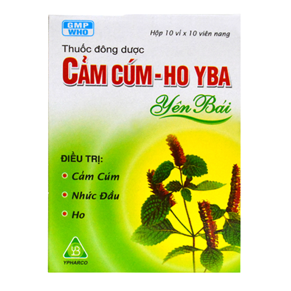 CẢM CÚM - HO YBA