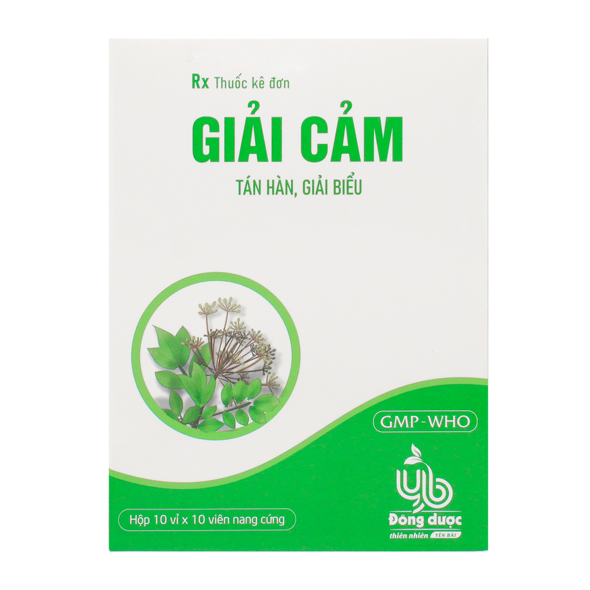 GIAI CAM