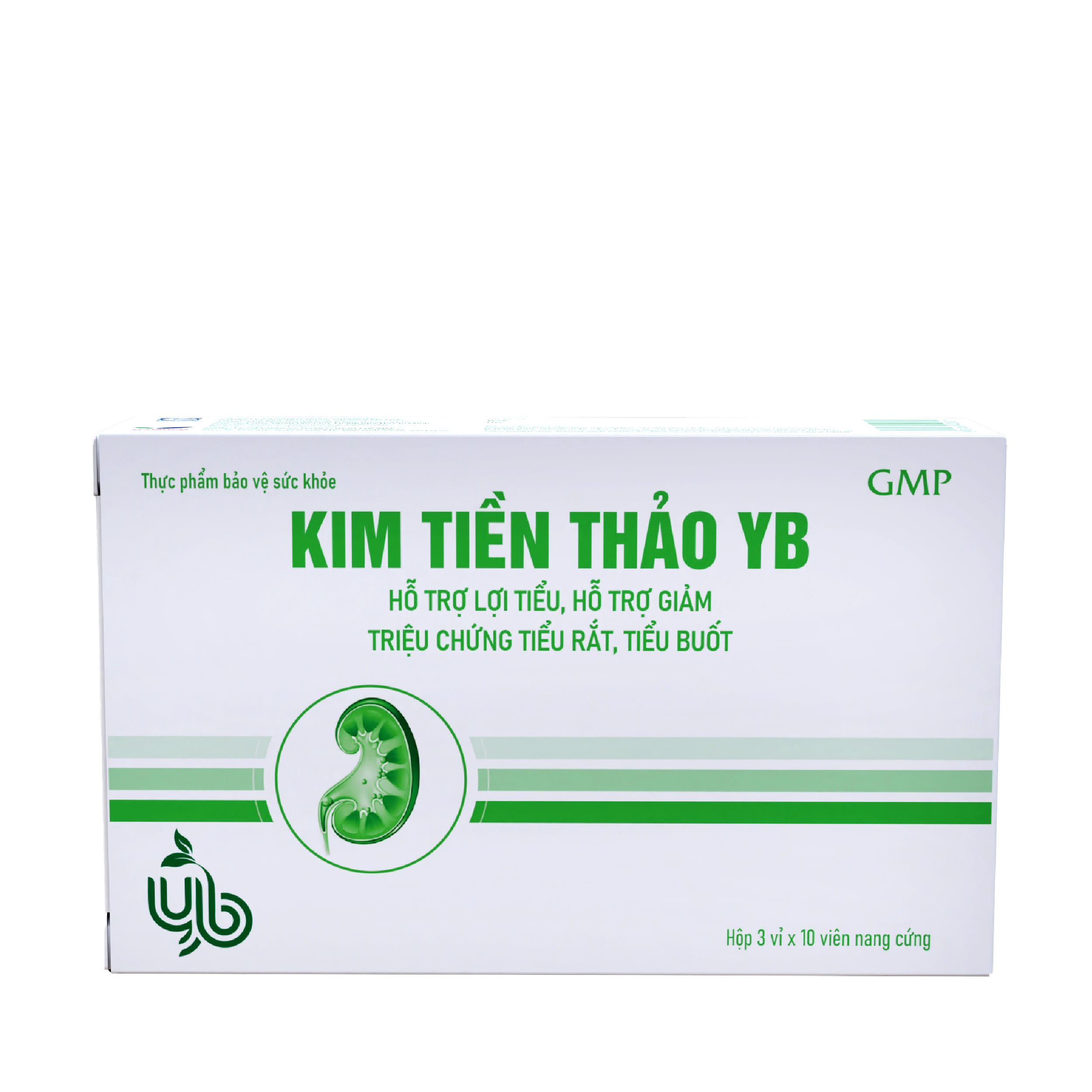 KIM TIEN THAO YB